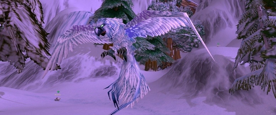 Vzácný a sezonní Snowy Owl se začal objevovat ve Winterspringu